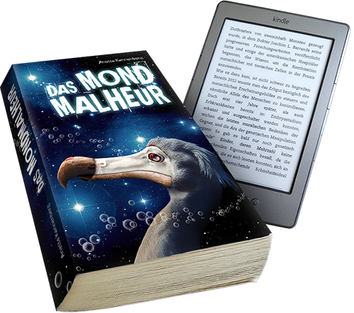 Das Mondmalheur